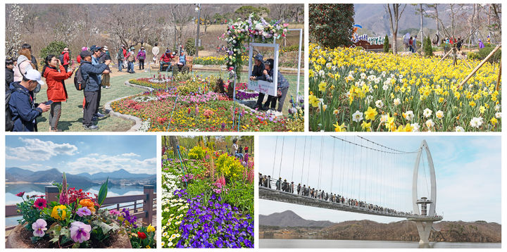 [임실=뉴시스] 임실 옥정호출렁다리와 붕어섬생태공원 풍경. *재판매 및 DB 금지