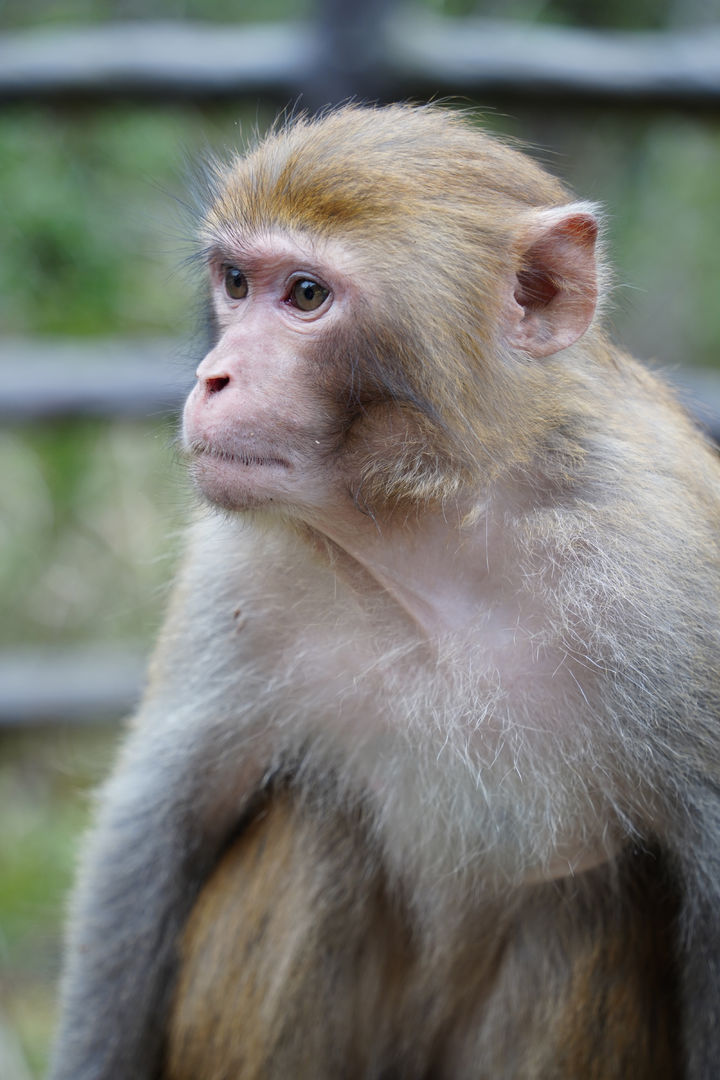 [뉴시스] 기사의 이해를 돕기 위한 이미지. (사진=유토이미지) *재판매 및 DB 금지