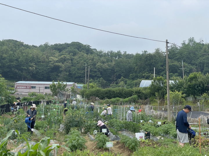 구로구, 주말농장 540구획 분양…23일부터 신청 접수