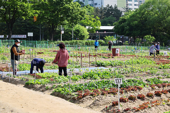 남동 실버농장 전경. (사진=남동구 제공) *재판매 및 DB 금지