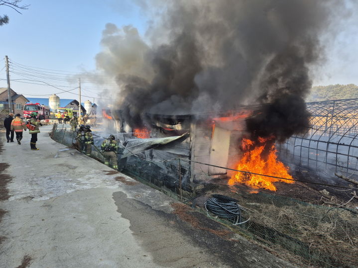 정읍 북면 양계장서 불, 닭 2500여 마리 폐사