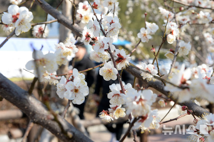 맑고 포근한 토요일…낮 최고 20도[내일날씨]