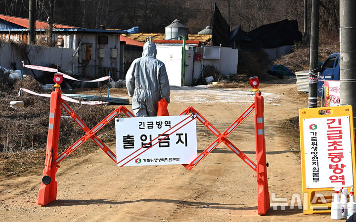 고양 구제역·철원 ASF 동시 발생…방역 '심각' 확대