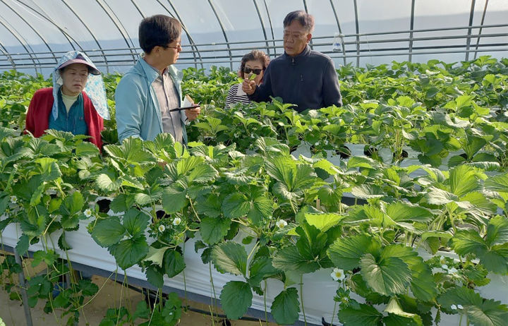 [광주=뉴시스] 광주시농업기술센터 '2026년 영농현장 맞춤형 컨설팅' 참여팀 모집. (사진=광주시농업기술센터 제공). photo@newsis.com *재판매 및 DB 금지