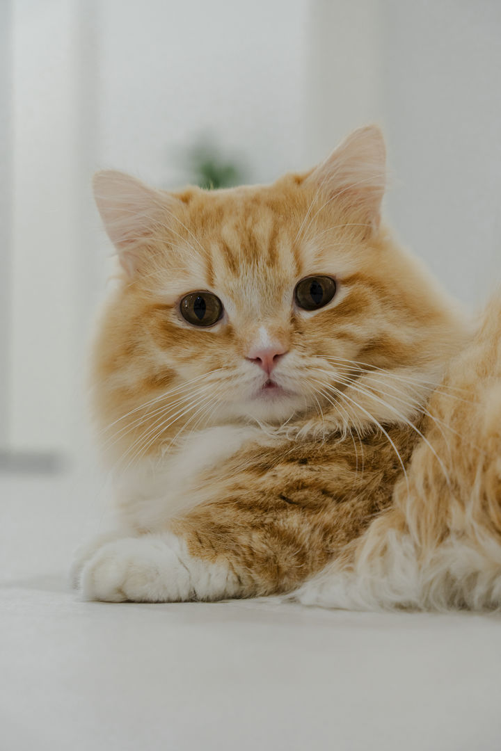 [뉴시스] 기사의 이해를 돕기 위한 이미지. (사진=유토이미지) *재판매 및 DB금지 *재판매 및 DB 금지