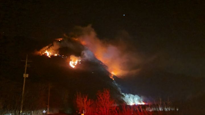 (사진=독자 제공) 2026. 02. 22. photo@newsis.com *재판매 및 DB 금지