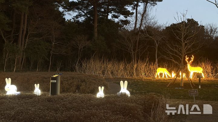 [제주=뉴시스] 임재영 기자 = 제주 서귀포시 새섬에 설치한 조명시설을 놓고 논란이 끊이지 않고 있다. 이질적인 디자인과 생태계훼손 우려 등으로 '새섬을 망쳤다'는 평가가 있는 반면 관광객이 올린 사회관계망서비스(SNS)에서는 '화려한 야경과 사진맛집' 등으로 소개하며 극명하게 호불호가 갈리고 있다. 21일 현장을 답사한 건축, 정원, 식생 전문가들은 "조잡하다"며 부정적인 평가를 했다. 2026.02.21. ijy788@newsis.com
