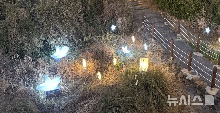 [제주=뉴시스] 임재영 기자 = 제주 서귀포시 새섬에 설치한 조명시설을 놓고 논란이 끊이지 않고 있다. 이질적인 디자인과 생태계훼손 우려 등으로 '새섬을 망쳤다'는 평가가 있는 반면 관광객이 올린 사회관계망서비스(SNS)에서는 '화려한 야경과 사진맛집' 등으로 소개하며 극명하게 호불호가 갈리고 있다. 21일 현장을 답사한 건축, 정원, 식생 전문가들은 "조잡하다"며 부정적인 평가를 했다. 2026.02.21. ijy788@newsis.com