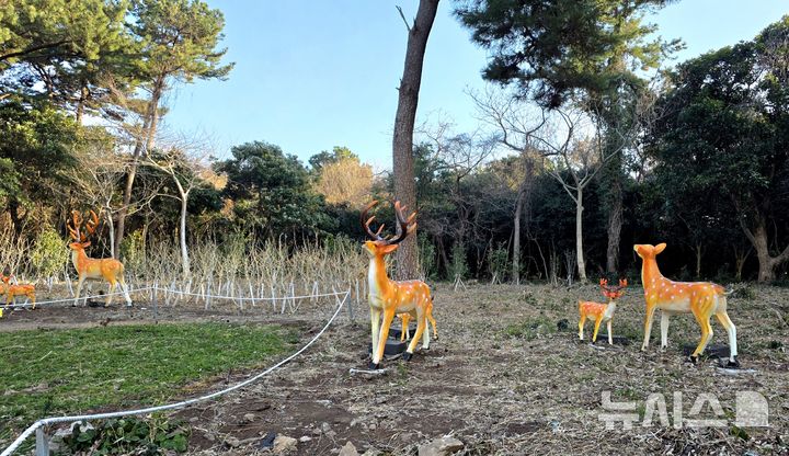 [제주=뉴시스] 임재영 기자 = 제주 서귀포시 새섬에 설치한 조명시설을 놓고 논란이 끊이지 않고 있다. 이질적인 디자인과 생태계훼손 우려 등으로 '새섬을 망쳤다'는 평가가 있는 반면 관광객이 올린 사회관계망서비스(SNS)에서는 '화려한 야경과 사진맛집' 등으로 소개하며 극명하게 호불호가 갈리고 있다. 21일 현장을 답사한 건축, 정원, 식생 전문가들은 "조잡하다"며 부정적인 평가를 했다. 2026.02.21. ijy788@newsis.com