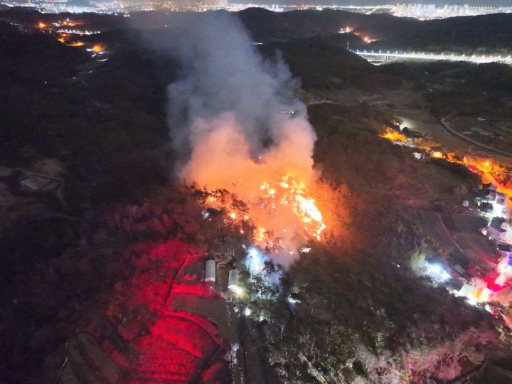 [울산=뉴시스] 구미현 기자 = 22일 오전 3시 44분께 울산 중구 성안동 야산서 발생한 불이 났다. (사진=울산소방본부 제공) 2026.02.22. photo@newsis.com *재판매 및 DB 금지