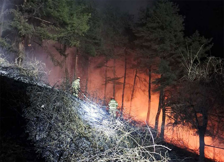 22일 오전 2시 59분께 강릉시 구정면 덕현리 산207번지 일대 사유림에서 발생한 산불을 소방대원들이 진화작업을 펼치고 있다.(사진=강원산불방지대책본부 제공) *재판매 및 DB 금지