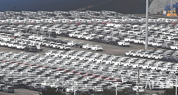 [평택=뉴시스] 김종택 기자 = 경기 평택시 포승읍 평택항 자동차 전용부두에 수출용 차량이 세워져 있는 모습. 2026.02.22. jtk@newsis.com