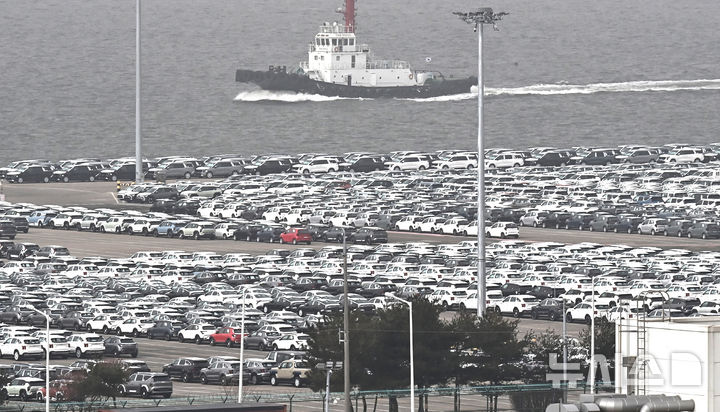 [평택=뉴시스] 김종택 기자 = 미국 연방대법원이 트럼프 행정부가 국제비상경제권한법(IEEPA)을 근거로 부과한 상호관세를 위법이라고 판결했다. 이에 따라 한국에 적용되던 15% 상호관세는 효력을 상실하게 됐다.  다만 우리 주력 수출품인 자동차·철강 등 품목은 관세 부과 대상에서 제외된다.  사진은 22일 경기 평택시 포승읍 평택항 자동차 전용부두에 수출용 차량이 세워져 있는 모습. 2026.02.22. jtk@newsis.com