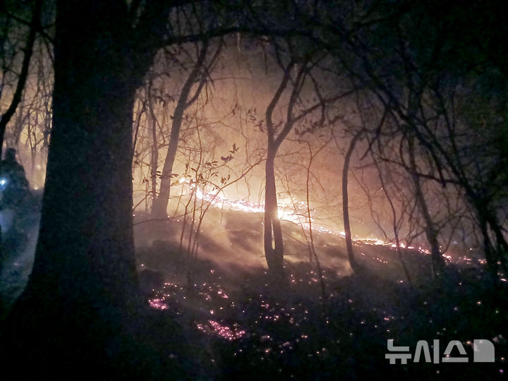[함양=뉴시스] 차용현 기자 = 지난 21일 경남 함양군 마천면 창원리 야산에서 발생한 산불이 밤사이 꺼지지 않고 강풍을 타고 번지자 산림 당국이 진화에 나섰다. 사진은 산불 진화 모습, 2026.02.22.(사진=소방청 제공) photo@newsis.com