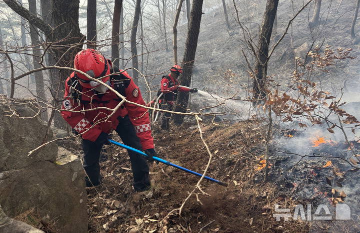 산림청 산림재난특수진화대 진화 장면 (사진=뉴시스DB)
