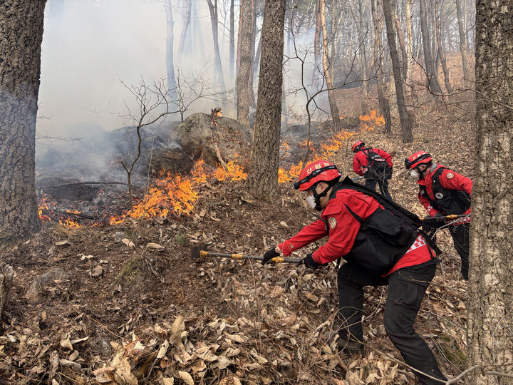 송미령 "산불 24시간 비상 대응…비상한 각오로 역량 총동원"