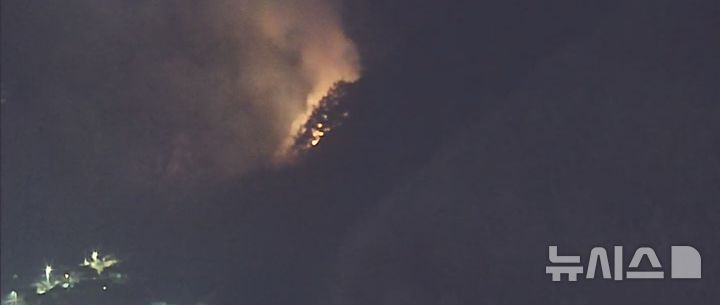 [단양=뉴시스] 23일 단양군 야산 산불. (사진=산림청 제공)