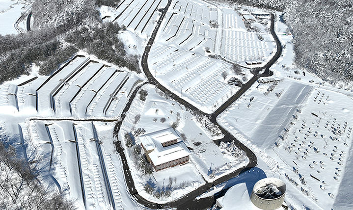 태백시 삼수동 태백공원묘원 전경.(사진=태백시설관리공단 제공) *재판매 및 DB 금지