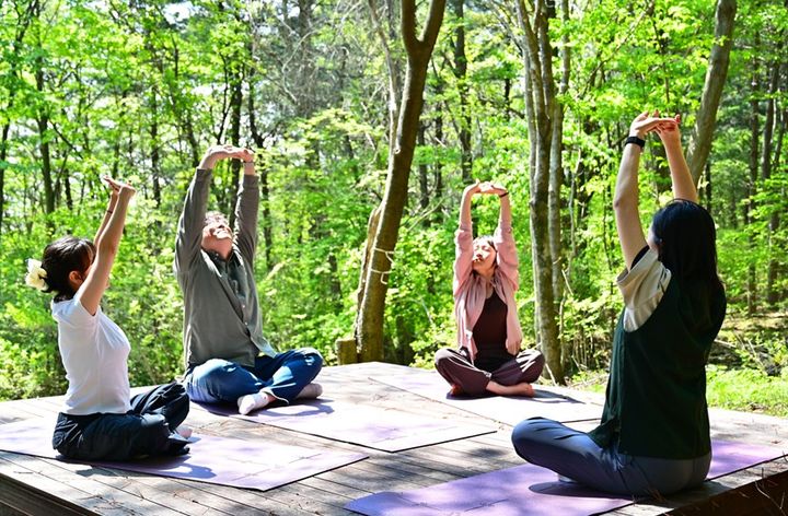 한국산림복지진흥원 개원 10주년...전국서 산림문화축제 열어 - 뉴스 썸네일 이미지