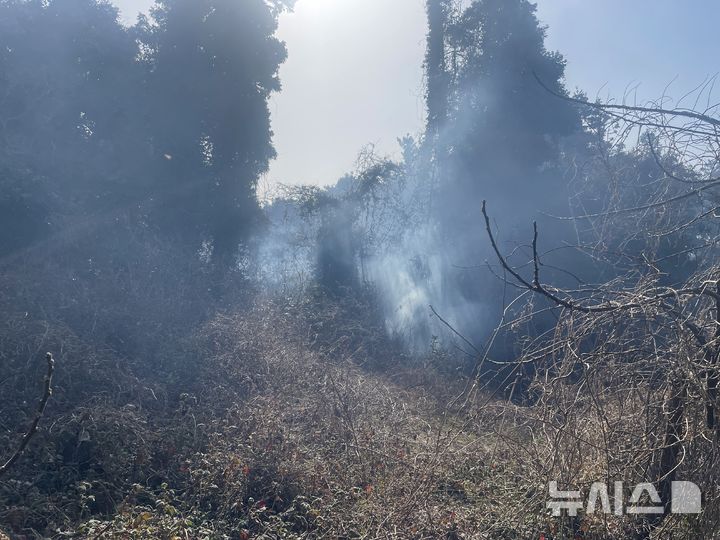 [제주=뉴시스] 22일 오전 제주 서귀포시 성산읍 소재 야초지에서 불이 나 소방당국이 진화에 나서고 있다. (사진=제주소방안전본부 제공) 2026.02.23. photo@newsis.com