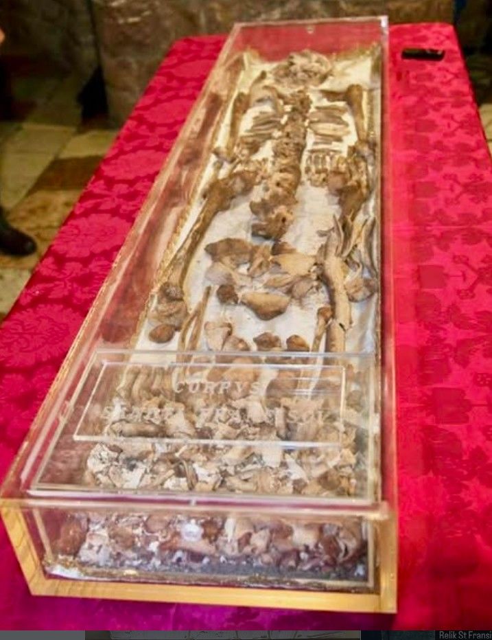 가톨릭 성인 '성 프란치스코' 유해 800년 만에 첫 일반 공개