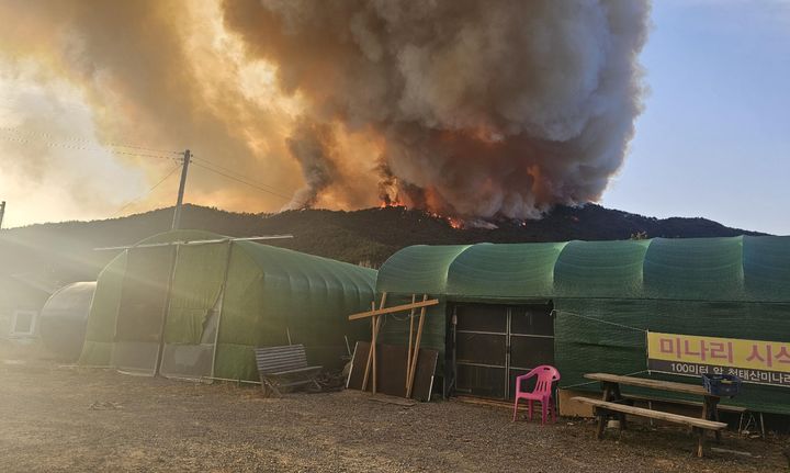 함양 진화되니 이번엔 밀양 산불…'국가소방동원령' 발령