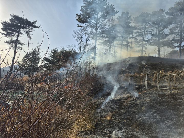 [순천=뉴시스] 23일 오후 4시5분께 전남 순천시 상사면 호사산에서 불이 나 1시간49분 만에 꺼졌다. 2026.02.23. (사진=전남소방본부 제공) photo@newsis.com *재판매 및 DB 금지