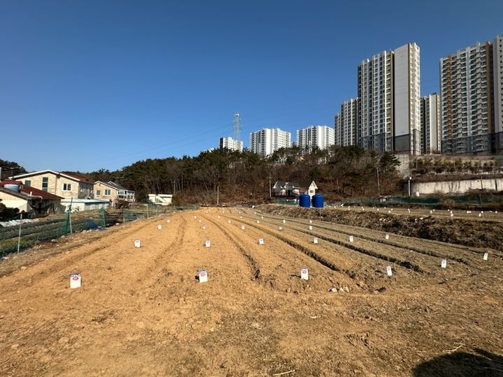 거제시, 도시민 주말농장 분양 참여자 선칙순 모집 - 뉴스 썸네일 이미지