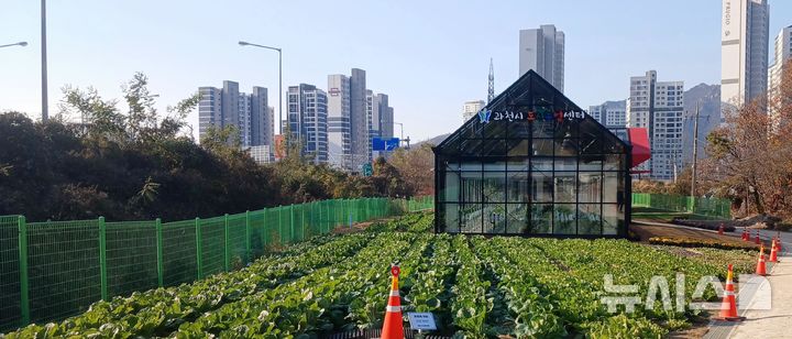 [과천=뉴시스] 과천시 도시농업센터 전경. (사진=과천시 제공).*재판매 및 DB 금지