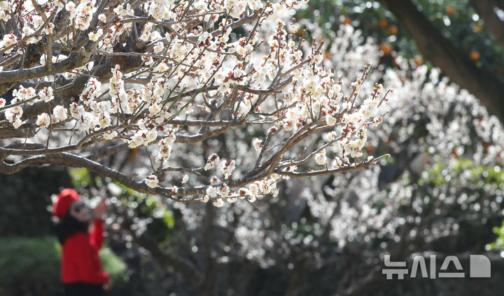 중부·경상 내륙 일교차 15도…새벽까지 강원산지 비·눈[오늘날씨]
