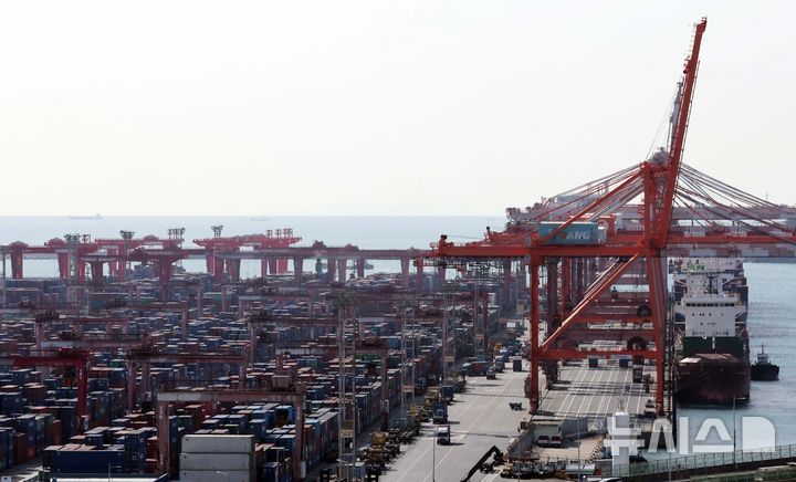  [부산=뉴시스] 하경민 기자 = 부산 남구 신선대 부두 야적장에 수출입 컨테이너가 쌓여 있다. 2026.02.23. yulnetphoto@newsis.com