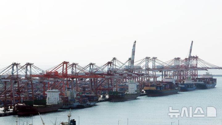  [부산=뉴시스] 하경민 기자 = 관세청은 지난 1~20일 수출은 전년 동기 대비 23.5%(82억9000만 달러) 증가한 435억 달러, 수입은 11.7%(40억3000만 달러) 증가한 386억 달러로 집계됐다고 23일 밝혔다. 매월 20일간 수출 실적으로는 역대 최대 기록이다. 이날 부산 남구 신선대 부두에 정박 중인 선박에서 수출입 컨테이너 선적 및 하역작업이 진행되고 있다. 2026.02.23. yulnetphoto@newsis.com