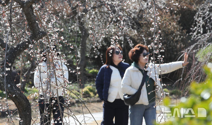 낮 최고 15도 포근…아침 최저 영하 4도 '일교차' 유의[내일날씨]