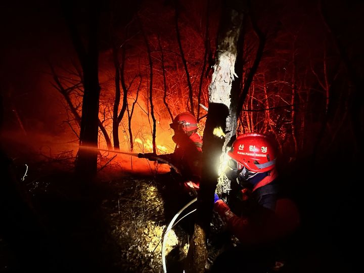 [밀양=뉴시스] 산림청 특수진화대가 밀양시 삼랑진읍 검세리 한 야산에서 발생한 산불 진화 작업을 하고 있다. (사진=산림청 제공) 2026.02.24. photo@newsis.com *재판매 및 DB 금지