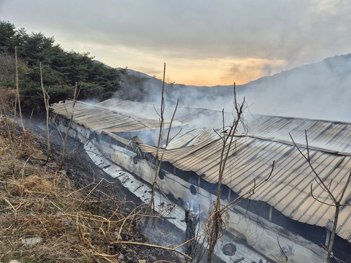 [보령=뉴시스] 23일 오후 보령시 웅천읍의 한 양계장에서 화재가 발생했다, (사진=보령소방서 제공) 2026.02.23 photo@newsis.com *재판매 및 DB 금지