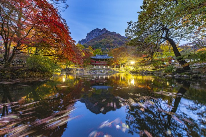 국립공원 탐방객, 코로나 이전 수준 회복…작년 4331만명
