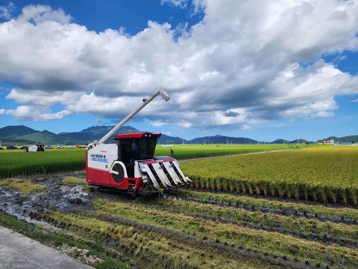 [무안=뉴시스] 전남지역 벼 수확 장면. (자료사진 = 전남도 제공). 2026.02.24. photo@newsis.com *재판매 및 DB 금지