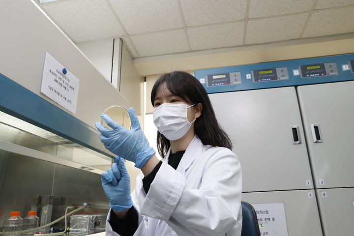 [서울=뉴시스] hy는 자체 개발 프로바이오틱스 'HY7017'이 면역력 증진에 도움을 줄 수 있는 개별인정형 기능성 원료로 인정 받았다고 밝혔다. (사진=hy 제공) *재판매 및 DB 금지