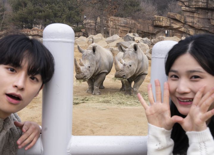 [용인=뉴시스]에버랜드의 워킹사파리(사진=에버랜드 제공)2026.02.24.photo@newsis.com *재판매 및 DB 금지