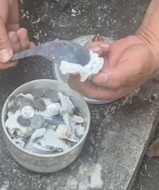 [뉴시스]복무 중 사망한 태국 군인의 유골에서 스테인리스 숟가락이 발견됐다. (사진 = @Prechar Singto 페이스북 캡처) *재판매 및 DB 금지