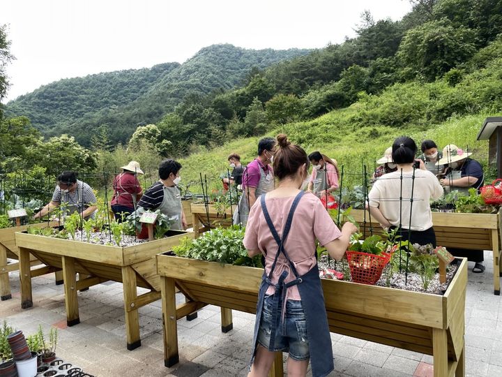 [세종=뉴시스] 치유농업 인증시설 드림뜰 힐링팜. (사진=한국농업기술진흥원 제공) *재판매 및 DB 금지