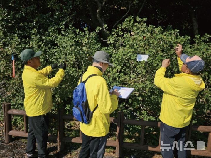 [제주=뉴시스] 국립산림과학원 난대·아열대산림연구소와 한국노인인력개발원 제주지역본부, 느영나영복지공동체 등이 추진하는 '제주 지역 산림보전형 노인일자리 사업'에 참여한 시니어 시민과학자의 활동이 산림 데이터 분석에 기초가 되고 있다. (사진=난대·아열대산림연구소 제공)