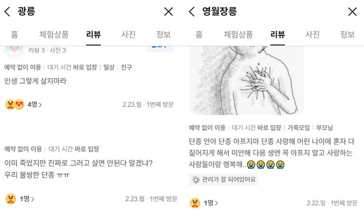 '단종' 영화 인기에…세조 묻힌 '광릉' 악플 명소됐네