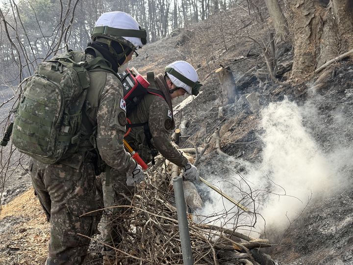 [창원=뉴시스]육군 39사단 장병들, 함양·밀양 산불현장 투입. (사진=39사단 제공) 2026.02.24.photo@newsis.com *재판매 및 DB 금지