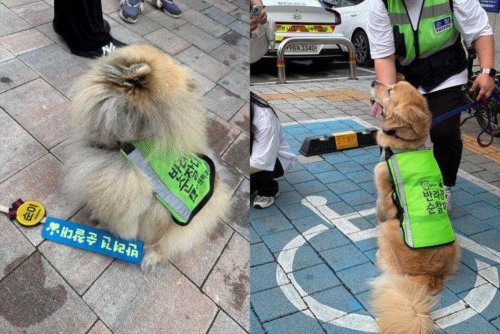 [서울=뉴시스]네츄럴코어가 올해도 반려견 순찰대와의 협력을 이어가며 지역사회 안전과 건강한 반려문화 확산을 위한 활동을 추진한다. 사진은 반려견 순찰대원이 합동 순찰 중인 모습.(사진=네츄럴코어) *재판매 및 DB 금지