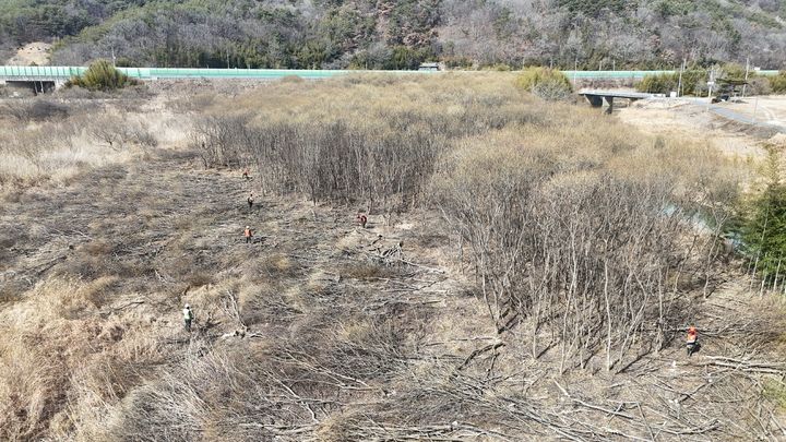 [진주=뉴시스]수자공 남강댐지사, 버들류 벌목공사 착공.(사진=남강댐 지사 제공).2026.02.24.photo@newsis.com *재판매 및 DB 금지