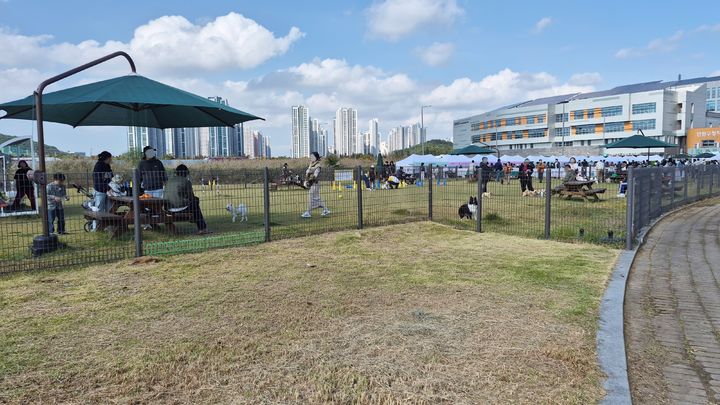 [안산=뉴시스]와스타디움 중앙광장 유휴부지에 조성된 반려견 놀이터에서 시민들이 반려견과 함께 시간을 보내고 있다.(사진=안산도시공사 제공)2026.02.24.photo@newsis.com *재판매 및 DB 금지