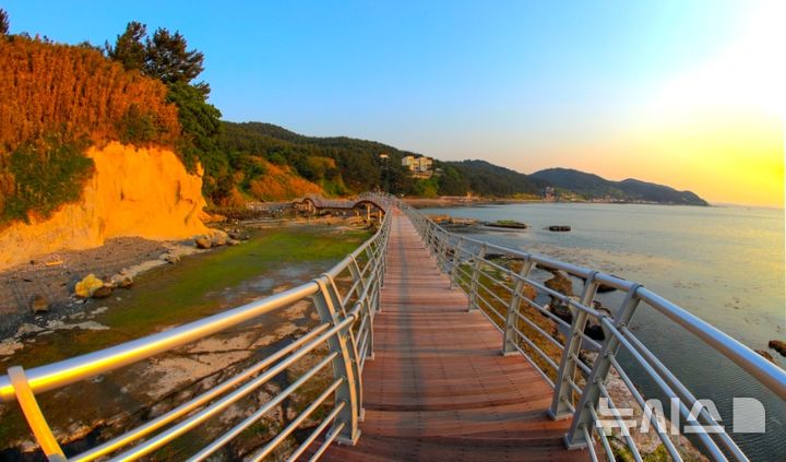 [포항=뉴시스] = 포항시 남구 호미반도 해안 둘레길. 2026.02.24. photo@newsis.com