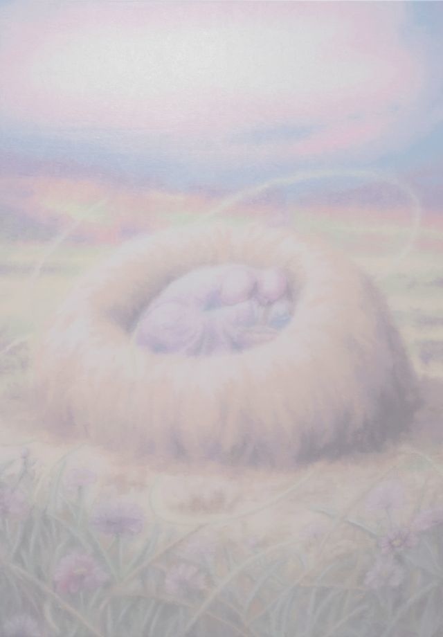 Nosik Lim Yeoju - Landscape 51 , 2026 Oil on canvas 100 x 70cm Courtesy of the artist, Arario Gallery and Thaddaeus Ropac gallery, London • Paris • Salzburg • Milan•Seoul© Lim Nosik *재판매 및 DB 금지