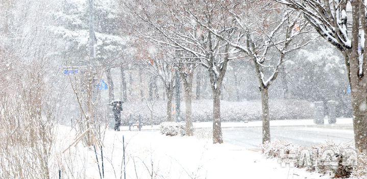 [세종=뉴시스] 강종민 기자 = 봄을 시샘하는 눈이 내린 24일 세종시 도심이 눈에 덮여 있다. 2026.02.24. ppkjm@newsis.com